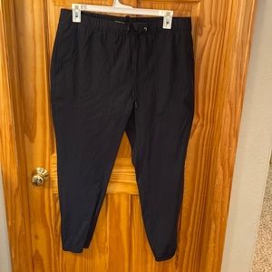 Express joggers
